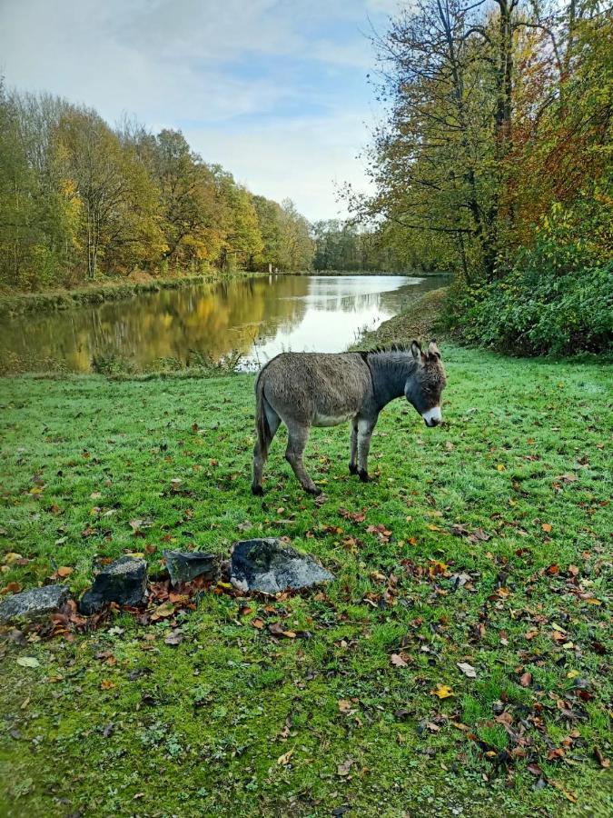 Deux Etangs Poissonneux Au Milieu Des Bois Avec Gite Moderne, La Halte Des Deux Lacs Rosée Екстериор снимка