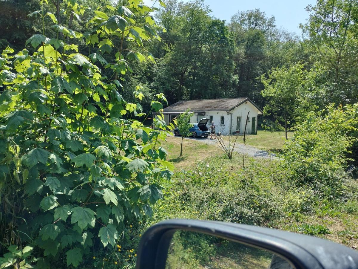 Deux Etangs Poissonneux Au Milieu Des Bois Avec Gite Moderne, La Halte Des Deux Lacs Rosée Екстериор снимка