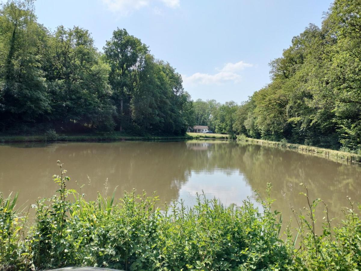 Deux Etangs Poissonneux Au Milieu Des Bois Avec Gite Moderne, La Halte Des Deux Lacs Rosée Екстериор снимка