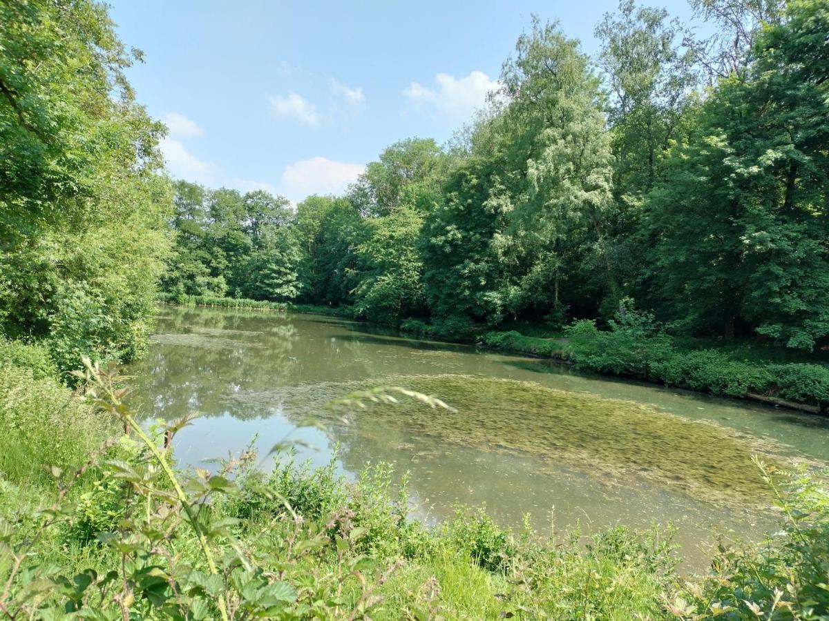 Deux Etangs Poissonneux Au Milieu Des Bois Avec Gite Moderne, La Halte Des Deux Lacs Rosée Екстериор снимка